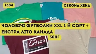 🔒СЕКОНД ХЕНД ОПТОМ [L-TEX] /Чоловічі футболки XXL. 1-й сорт + Екстра. Літо. Канада. 30кг 