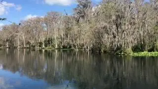 Hiking the Swamp Trail at Silver Springs State Park