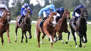 Look at that white blaze! Royal Ascot runner-up THESECRETADVERSARY strikes at Tipperary