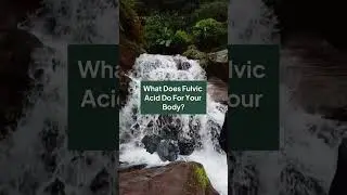 What Does Fulvic Acid Do For Your Body?