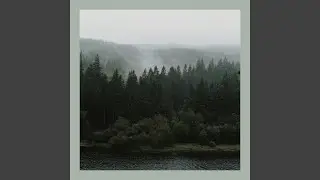 Behind The Forest
