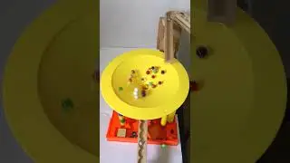 Marble Run ASMR Wooden ramp HABA Large Circle 2026-2/11#marblesrace#marblerace#marblerun#satisfying