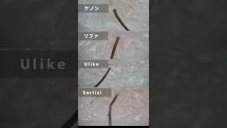 【3週間経過】どの脱毛器が本当に効果ある？