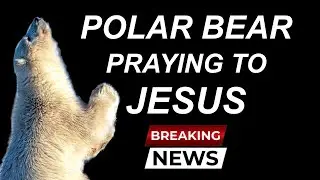 Polar Bear Photograped Praying Next To A Cross
