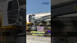 4T18M Telescopic Marine Crane