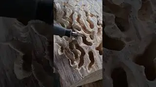 con las brocas correctas se puede labrar la madera muy facil #carvingwood
