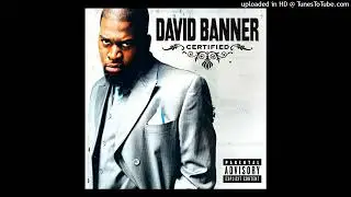 David Banner - Play (PAL Pitched)