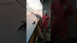 Heaving line throwing gun