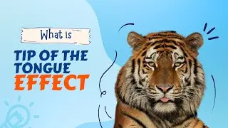 Tip of the tongue effect | What it is, how it happens and how to resolve it