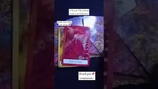 A Secret They Dont want you Find out.. #shorttarot #tarotshort