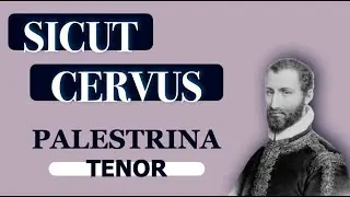 Tenor Dominant - Sicut Cervus (Palestrina)