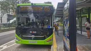 Tower Transit Bus Service 66 Zhongtong LCK6126EVG N12 SG3442B