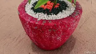 The Best Indoor Plants (Dracaena Reflex Propagation and Plant Care)