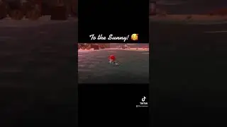 To the Sunny! - One piece pirate ship on Animal Crossing New Horizons