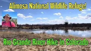 A Visit to Alimosa National Wildlife Refuge. Things To Do IN COlorado #roadtrip #riogrande #hike