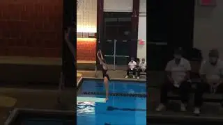 401B-Inward Dive Pike