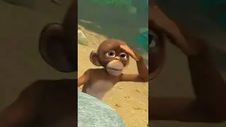 Sweet Moments &ndash; Jungle Beat | Munki and Trunk | WildBrain Fizz | Full Episodes | Kids Cartoon 2024