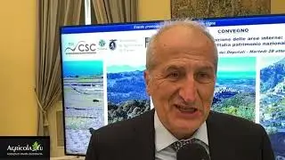 Prof. Mauro Agnoletti (Pres. Ass. Paesaggi Rurali di Interesse Storico) | Aree Rurali