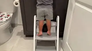 Potty training seat with steps