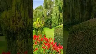 Botanical Garden Vibes 🌿 | Relaxing Nature Music 🎵 #Shorts#natureandenvironmentvlogs,