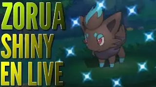 ZORUA SHINY au Navi-Dex en 96 rencontres [Pok&eacute;mon ROSA]