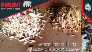 SHREDDING WET and DRY WOOD with ROBUST UNIVERSAL INDUSTRIAL SHREDDER SD