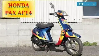 PAX AF14 HONDA (ヤフオク出品中)