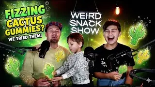 Fizzy Cactus Gummies vs Chocolate Tree Stump Cookies Showdown