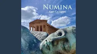 Numina