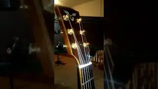 Goodall Guitar
