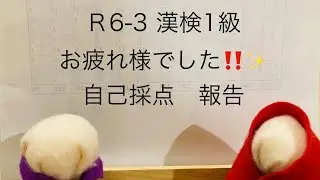 R6-3漢検1級　自己採点報告です✨