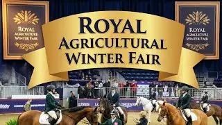 The Royal Agricultural Winter Fair! This is a must-do in Toronto.