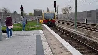 Train Berlin March 2024 - Happy boy watching trains