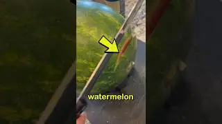 Watermelon Starts Fizzing and Popping 🤯🍉