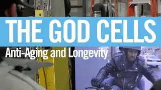 Anti-Aging with fetal stem cell therapy | The God Cells | eric@ericmerola.com