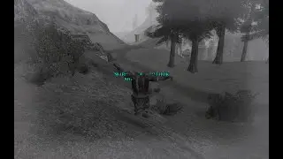 Echoes of Angmar PvMp 6v6 showcase AMW vs NA all stars