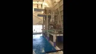 Hal Watts Diving 2016