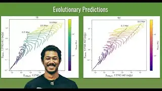 A framework for modeling the evolution of young stellar objects (Theo Richardson, UF)