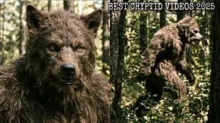 Every CLEAR Cryptid Video Released in 2025! 