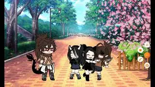 random video