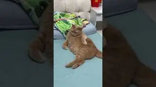 He Is Showing Off A New Skill 😂