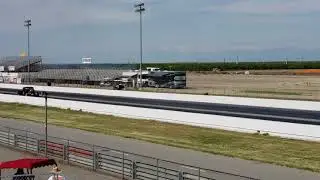 Wooly bear 2 dragfest 2019