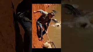 Quick Thinking Oldman Devises a Clever Crocodile Diversion. 🧚 #rescue #Animal #RescueAnimals #Dog