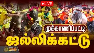 🔴LIVE: Mukkanipatti Jallikattu Live | அனல் பறக்கும் முக்காணிப்பட்டி ஜல்லிக்கட்டு | Pudukottai