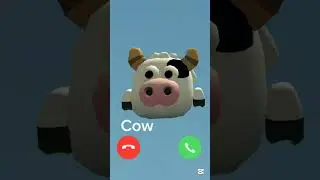Oy Oy Oy Cow