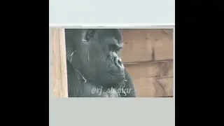 NASHA PURA HO GYA|| ABB DEKHUNGA SASUR JI KO| JAY MAHISHMATI........ 🤣🤣