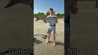 Long and skinny just like..nvm. #fishing #nj #oceanfishing #inshorefishing #outdoors