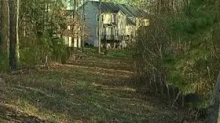 N Raleigh Dogs Run Loose