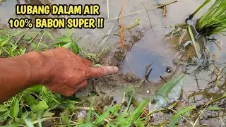 MANCING BELUT SAWAH DI LUBANG DALAM AIR ISINYA SANGAT MENGEJUTKAN