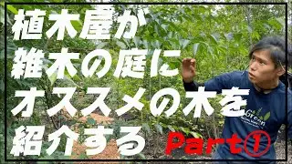 雑木の庭にオススメ樹種を紹介PART1アオダモ 、アオハダ、モミジ、コナラなど・・・